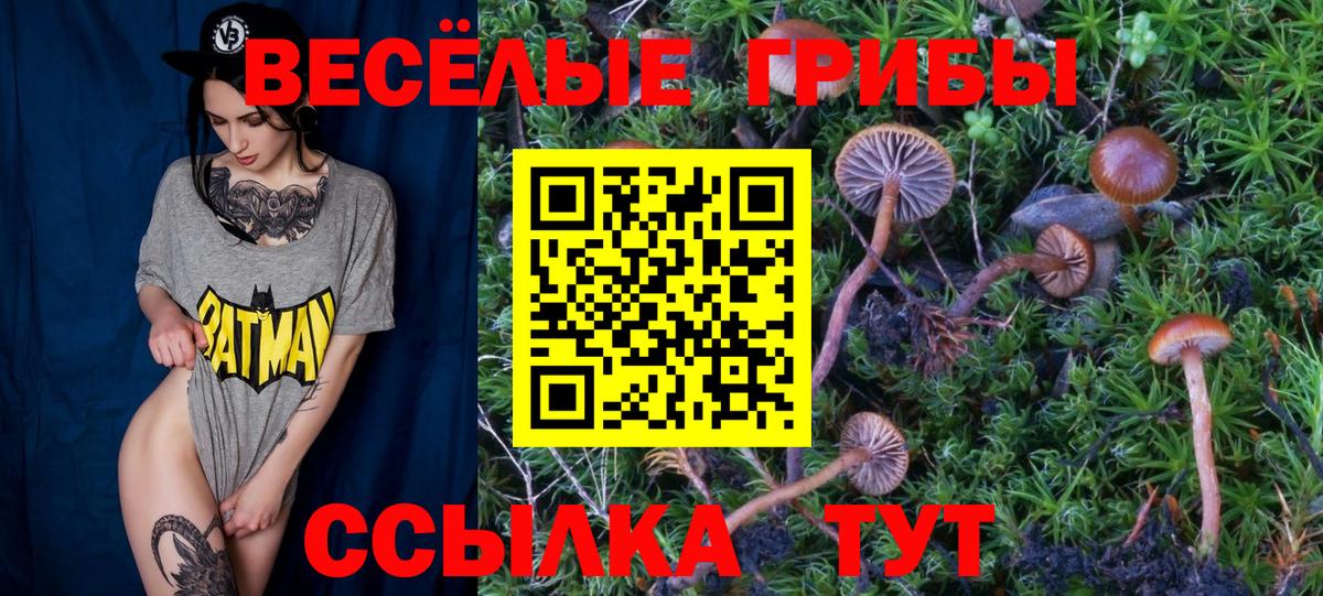 Галлюциногенные грибы ЛСД Абакан